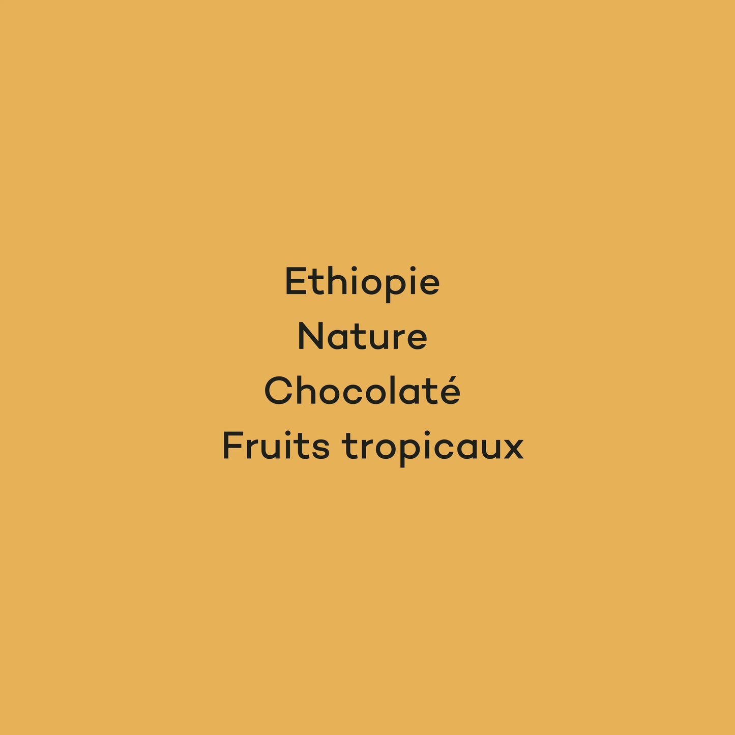 TAFACCE - ETHIOPIE