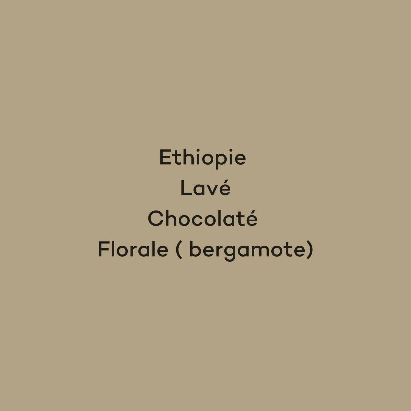 SIDAMA - ÉTHIOPIE