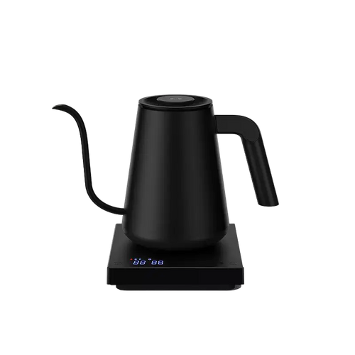 Bouilloire électrique Time More Fish Smart 800 ml