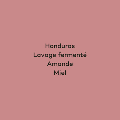 COPANTI - HONDURAS