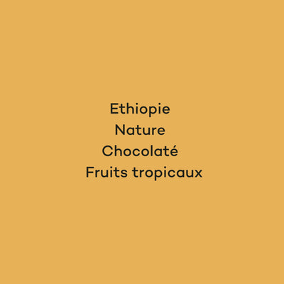 TAFACCE - ETHIOPIE