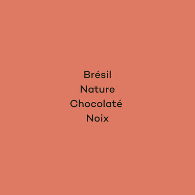 ZINHO - BRÉSIL